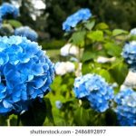 老哥白菜论坛:分享实用技巧与经验的交流平台 2qvs0i1go