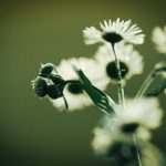 CBA总决赛巅峰对决视频直播,见证冠军荣耀诞生时刻 3poh7bwz9b