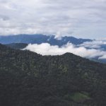 老虎城线路检测的技术原理与应用场景分析 fespb7y8i