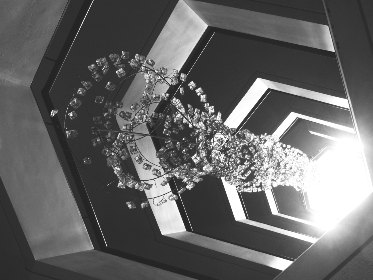 CBA联赛广东队焦点战直播:华南虎全力冲刺季后赛