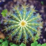 CBA篮球联赛官方直播平台官网入口 m0b8535hd3