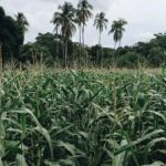 聚宝盆娱乐:探索财富与乐趣的完美结合之旅 qp5yw