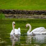 腾博汇官网诚信为本,构建透明公正的服务体系 supln5