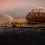 CBA篮球联赛直播在哪个网站可以观看? u4olc6wa