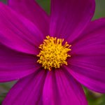 CBA联赛上海男篮今晚焦点战直播,精彩对决不容错过 w7arb