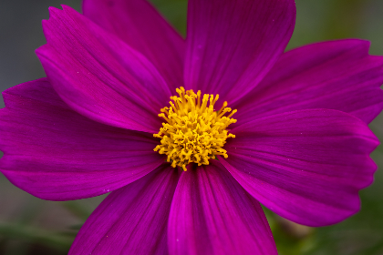 CBA联赛上海男篮今晚焦点战直播，精彩对决不容错过