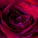 耐克平台:如何利用数字化转型提升品牌价值 xr0fmo